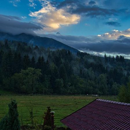 Pensiunea Mara *** Борша Екстер'єр фото