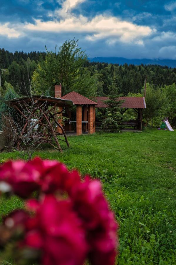 Pensiunea Mara *** Борша Екстер'єр фото